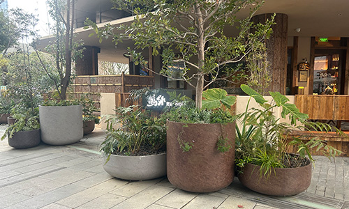 苏州圆融时代广场花箱升级案例｜彩格尔园林打造高端商业街区景观新标杆