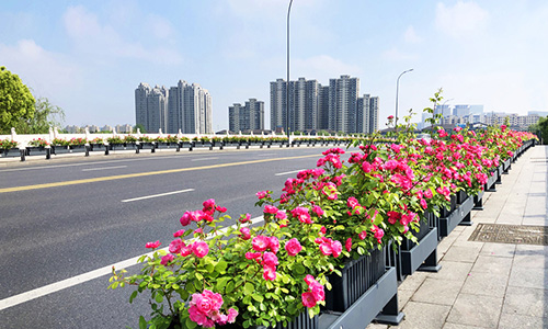 从功能隔离到生态共生，城市景观的迭代与未来