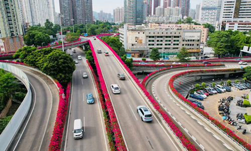 轻量造景护桥梁，绿意随行悦旅途